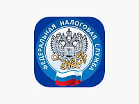 Самозанятые в Саратовской области заработали более 100 млрд рублей