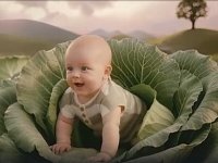 Саратовцам предлагают познакомиться с возможностями нацпроекта "Семья"