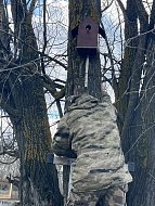 В заказнике «Центральный» разместили сделанные школьниками скворечники