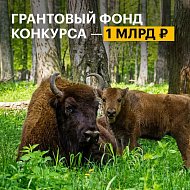 Саратовцев приглашают принять участие в конкурсе экологических и природоохранных проектов