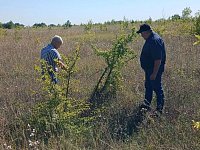 Специалистами Россельхознадзора совместно с сотрудниками администрации  Воскресенского МР проведены мероприятия земельного контроля в целях выявления  неиспользуемых в сельскохозяйственных работах земель